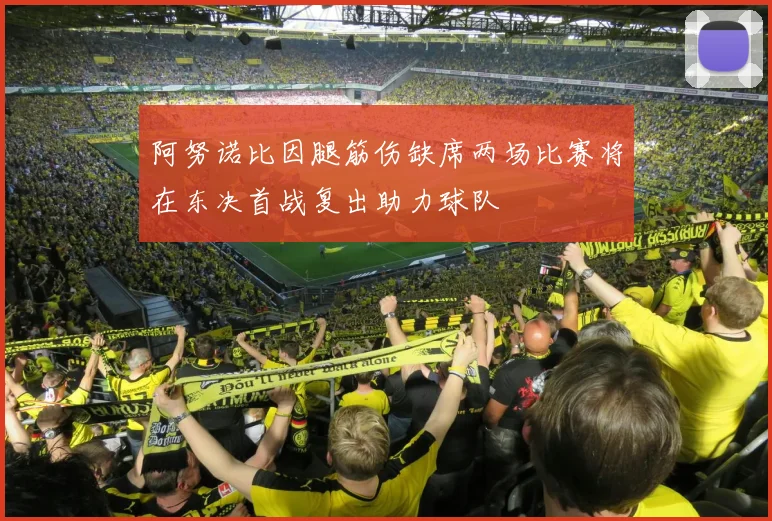 阿努诺比因腿筋伤缺席两场比赛将在东决首战复出助力球队
